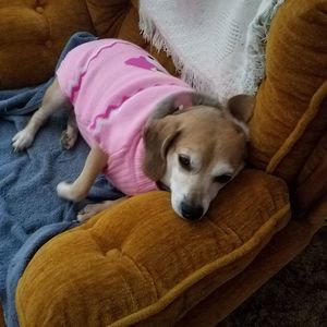 Meet your Posher, Tina